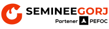 seminee-gorj-logo.png